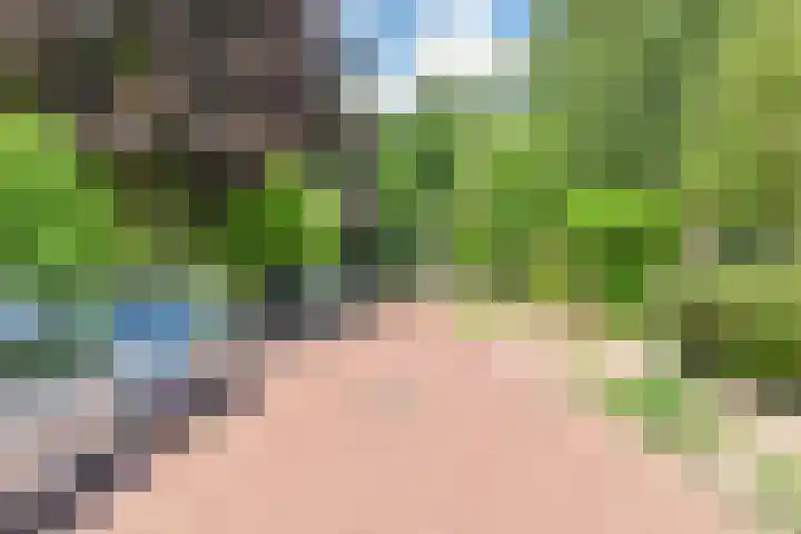 Klein Laren 3 Laren thumbnail 4