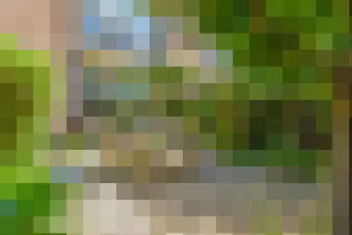 Klein Laren 3 Laren thumbnail 6