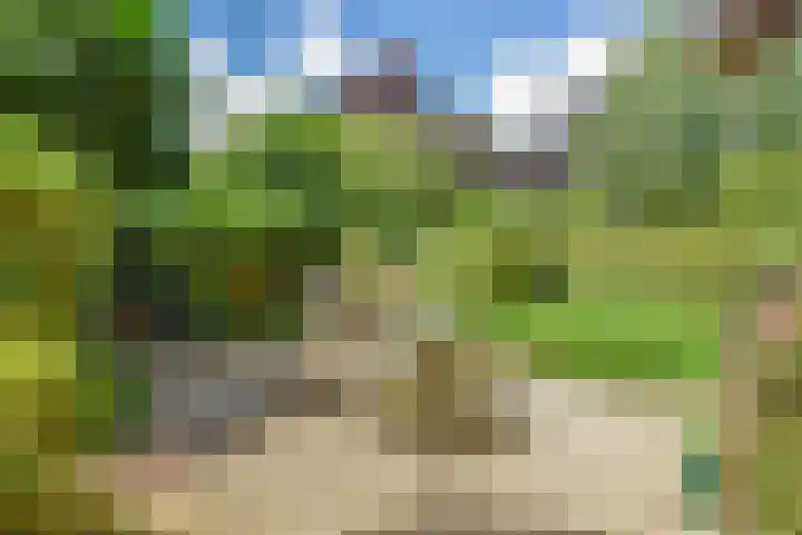 Klein Laren 3 Laren thumbnail 8