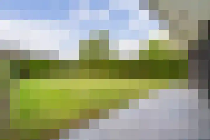 Klein Leuken 13 A Weert thumbnail 48