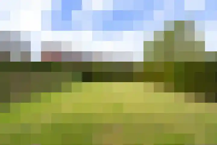 Klein Leuken 13 A Weert thumbnail 49