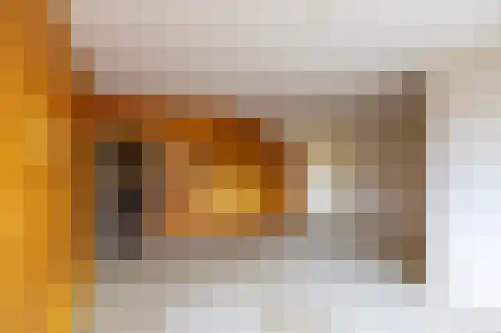 Klein Martijn 18 Harkstede thumbnail 11