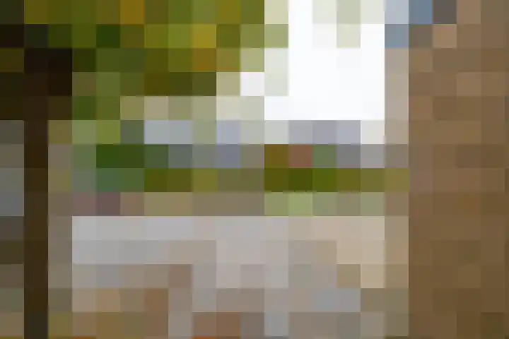 Klein Martijn 18 Harkstede thumbnail 37
