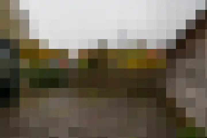 Klein Martijn 18 Harkstede thumbnail 4