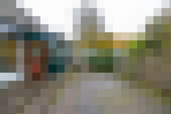 Klein Martijn 18 Harkstede thumbnail 42
