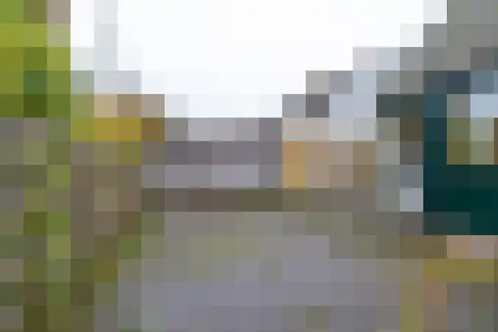 Klein Martijn 18 Harkstede thumbnail 43