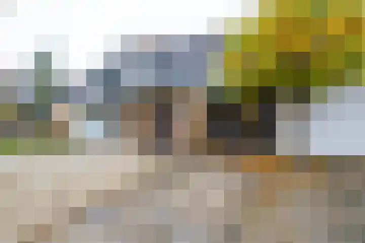 Klein Martijn 18 Harkstede thumbnail 6