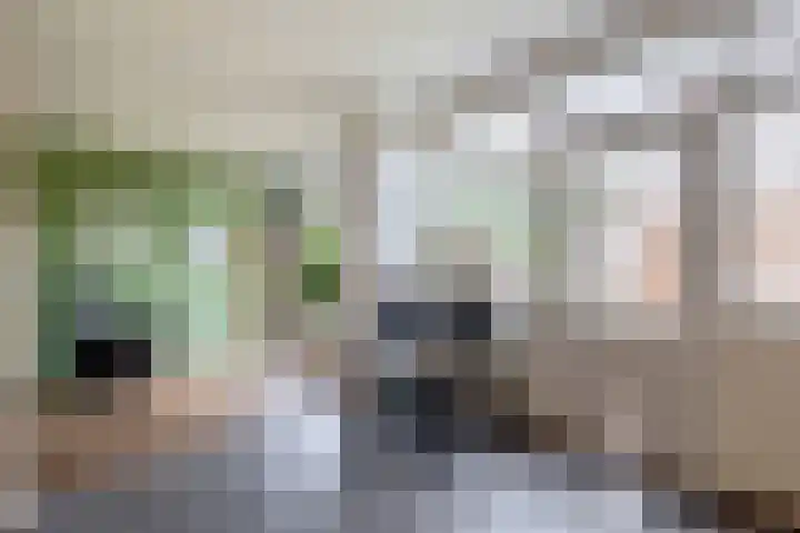 Klein Martijn 24 Harkstede thumbnail 13