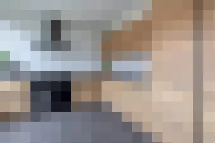 Klein Martijn 24 Harkstede thumbnail 14