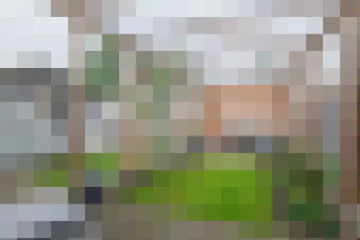 Klein Martijn 24 Harkstede thumbnail 16