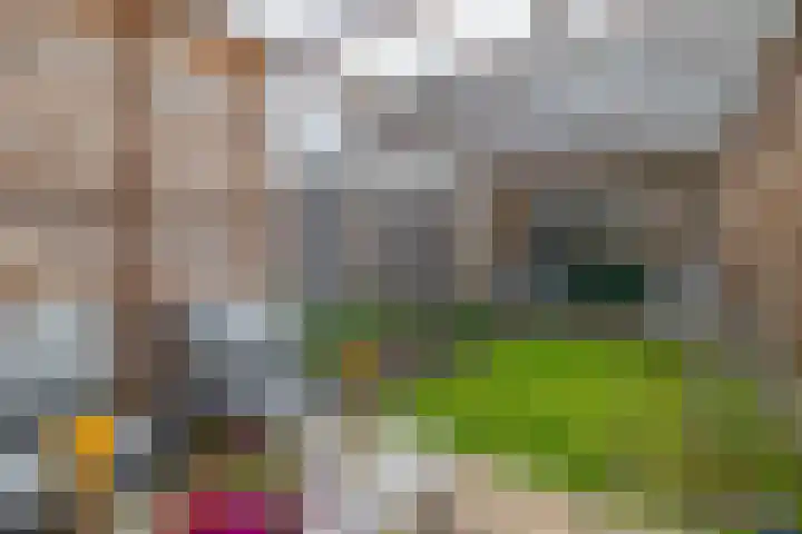 Klein Martijn 24 Harkstede thumbnail 18