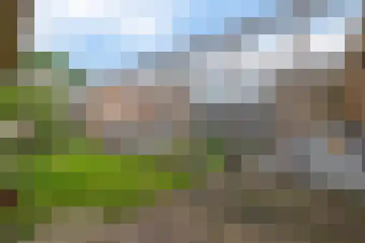 Klein Martijn 24 Harkstede thumbnail 19
