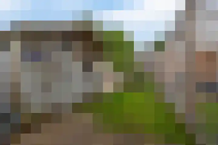 Klein Martijn 24 Harkstede thumbnail 20