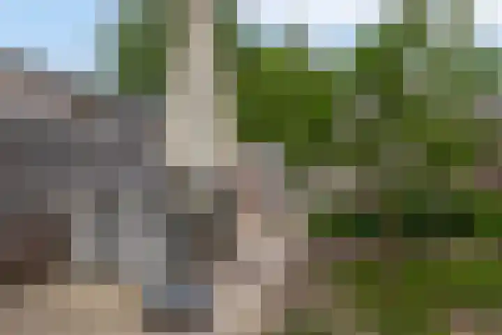 Klein Martijn 24 Harkstede thumbnail 21