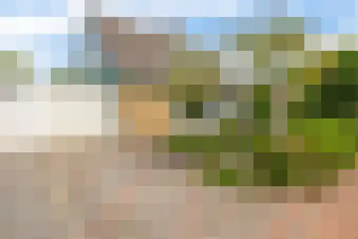 Klein Martijn 24 Harkstede thumbnail 36