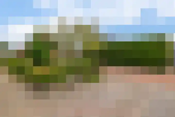 Klein Martijn 24 Harkstede thumbnail 37