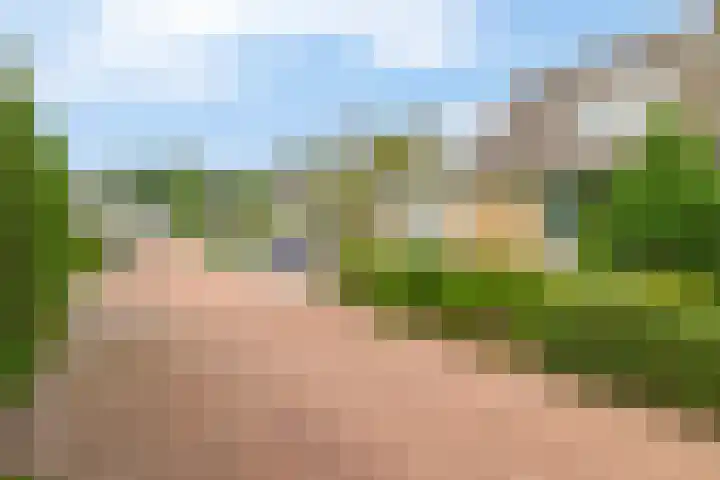 Klein Martijn 24 Harkstede thumbnail 38