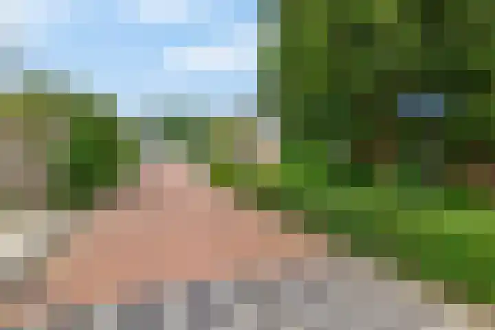 Klein Martijn 24 Harkstede thumbnail 39