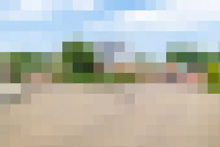 Klein Martijn 24 Harkstede thumbnail 40