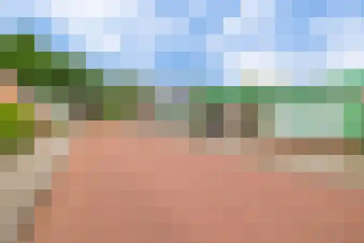 Klein Martijn 24 Harkstede thumbnail 41