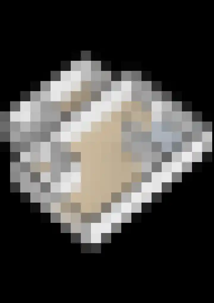 Klein Martijn 24 Harkstede thumbnail 43