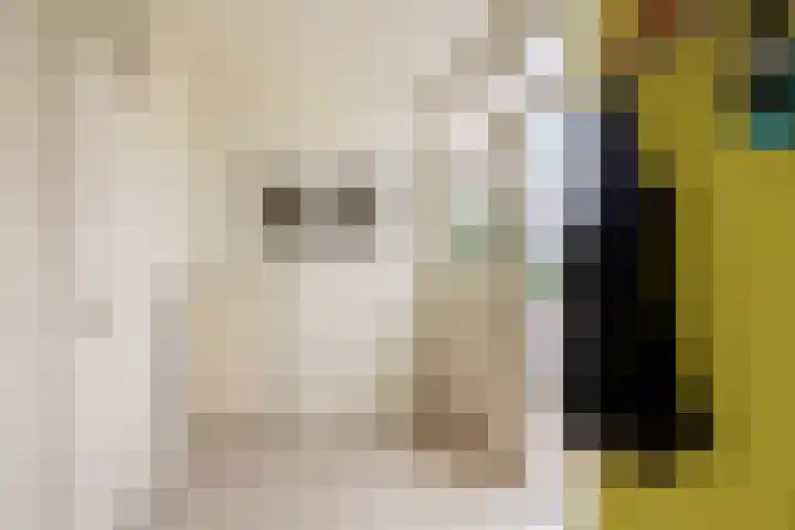 Klein Martijn 24 Harkstede thumbnail 5