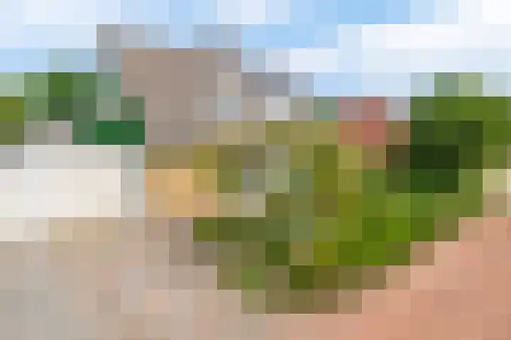 Klein Martijn 24 Harkstede thumbnail 50