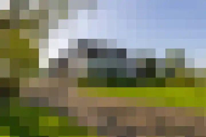 Klein Moorst 14 Woudenberg thumbnail 29