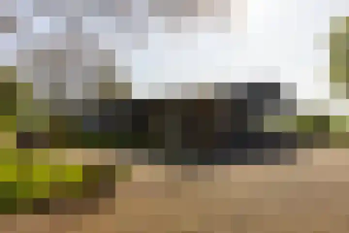 Klein Moorst 14 Woudenberg thumbnail 33