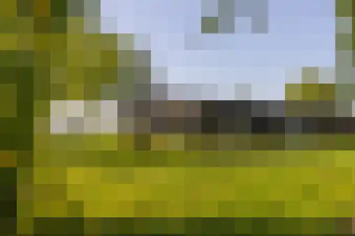 Klein Moorst 14 Woudenberg thumbnail 34