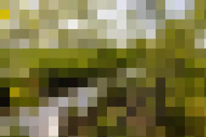 Klein Moorst 14 Woudenberg thumbnail 45