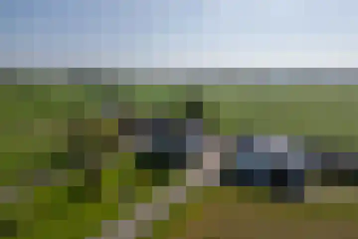 Klein Moorst 14 Woudenberg thumbnail 49