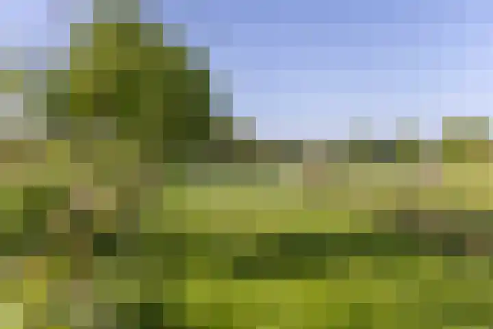 Klein Moorst 14 Woudenberg thumbnail 57