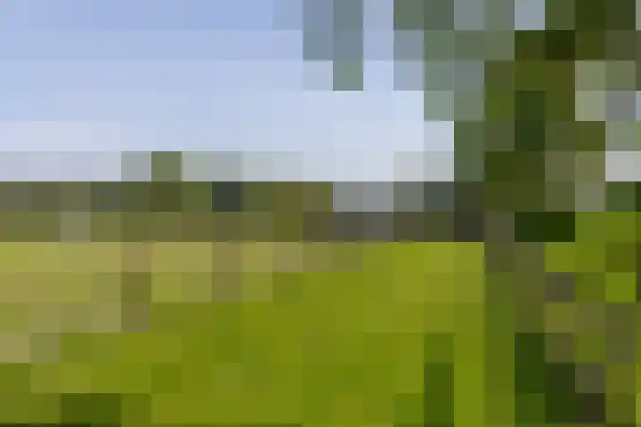 Klein Moorst 14 Woudenberg thumbnail 58
