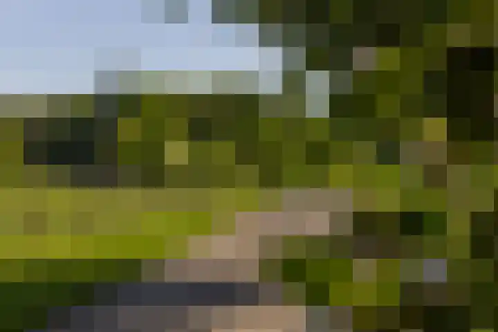 Klein Moorst 14 Woudenberg thumbnail 59