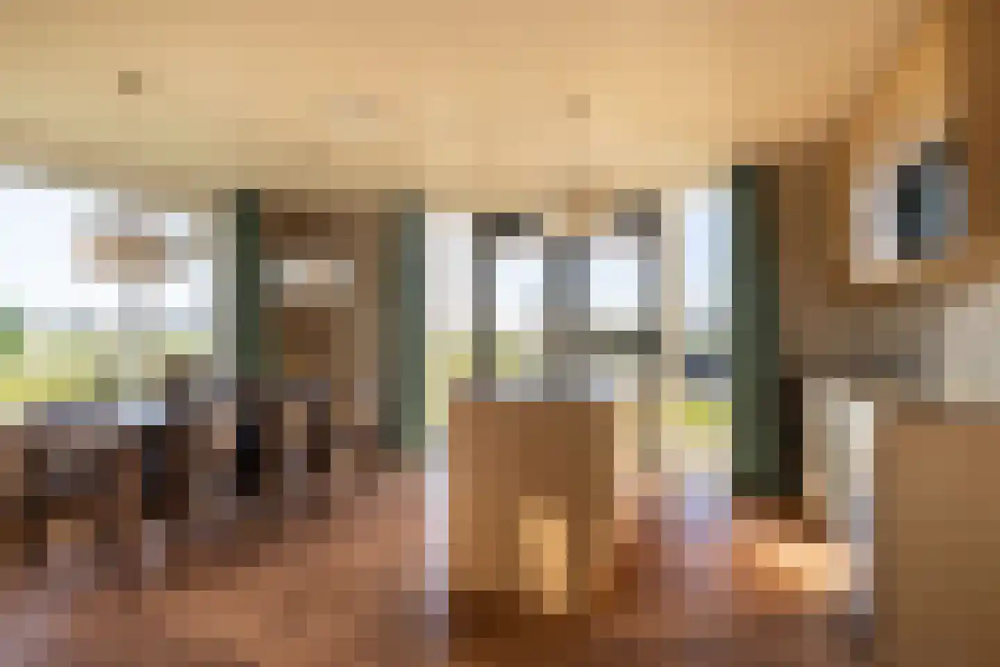 Klein Moorst 3 Woudenberg thumbnail 12