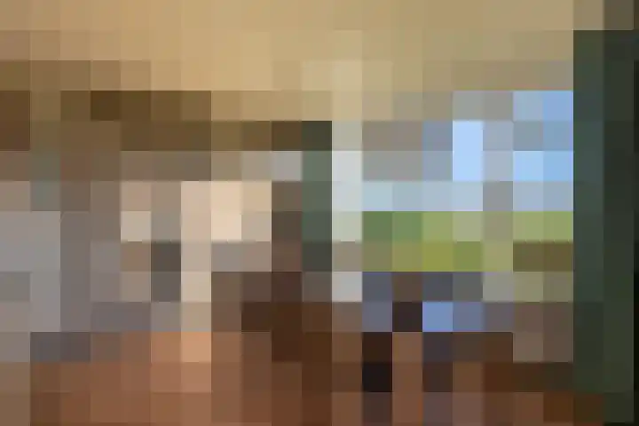 Klein Moorst 3 Woudenberg thumbnail 16