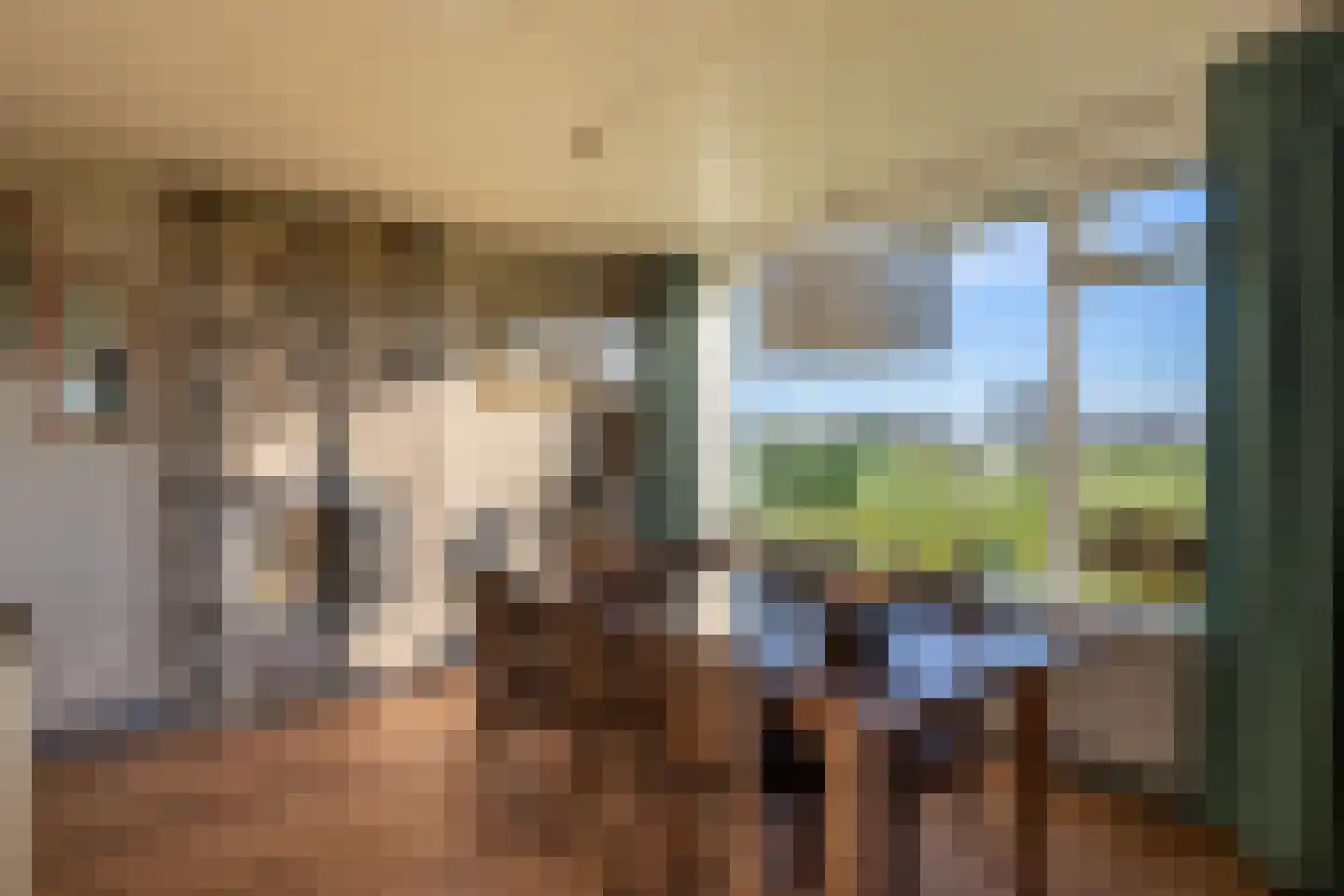Klein Moorst 3 Woudenberg thumbnail 16