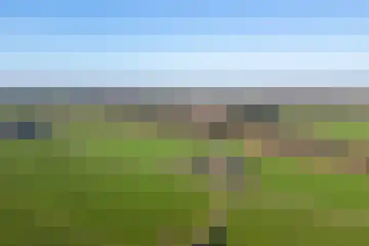 Klein Moorst 3 Woudenberg thumbnail 51