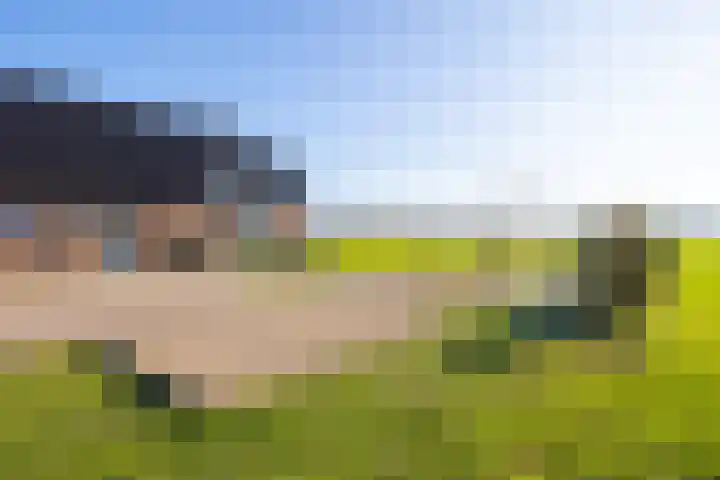 Klein Moorst 3 Woudenberg thumbnail 54