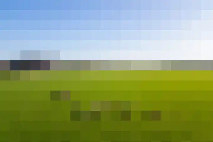 Klein Moorst 3 Woudenberg thumbnail 56