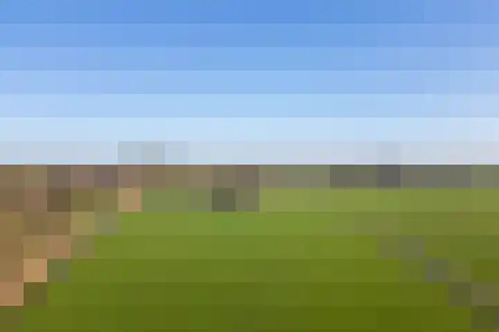 Klein Moorst 3 Woudenberg thumbnail 57