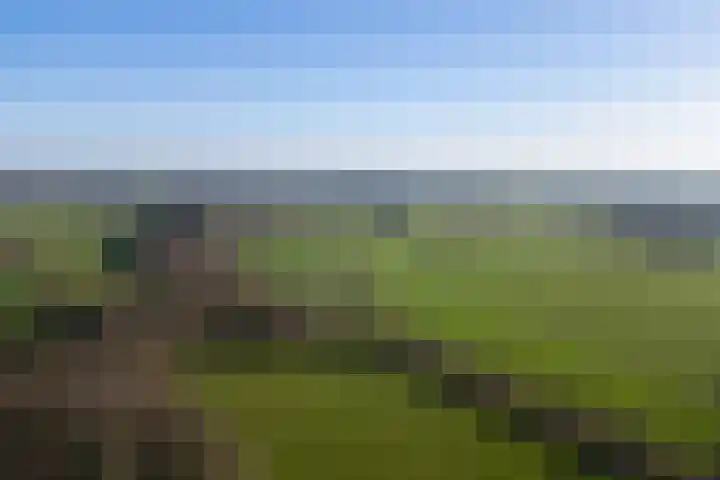 Klein Moorst 3 Woudenberg thumbnail 59