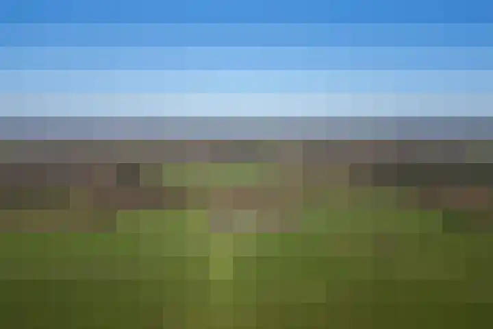 Klein Moorst 3 Woudenberg thumbnail 60