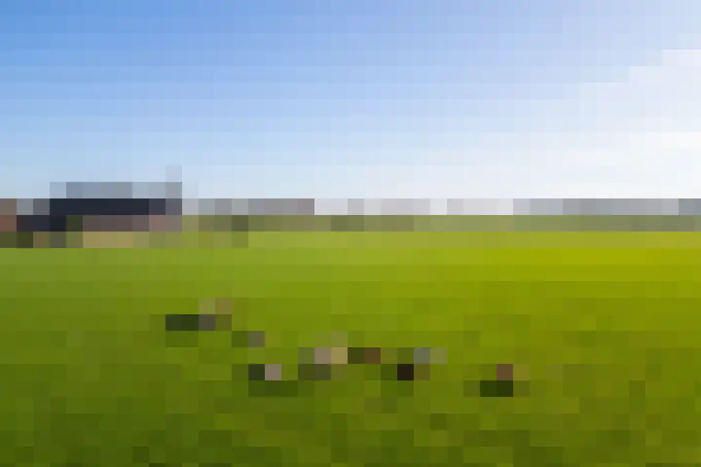 Klein Moorst 3 Woudenberg thumbnail 60