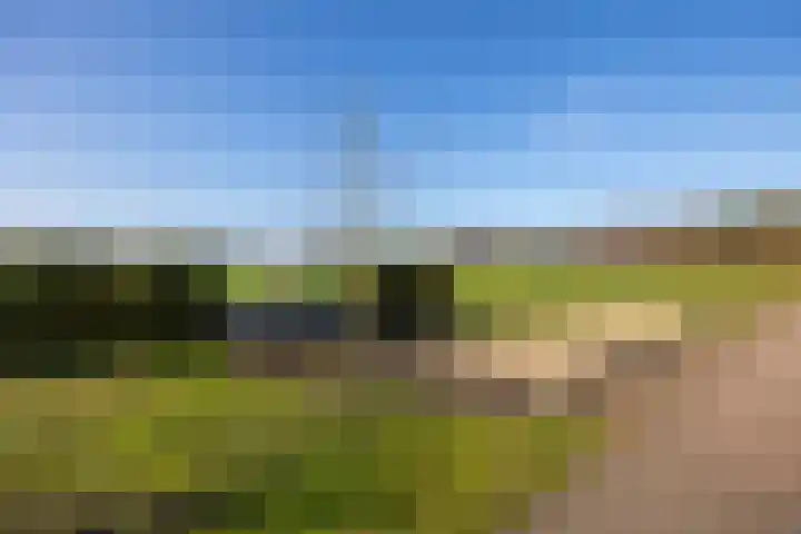 Klein Moorst 3 Woudenberg thumbnail 61