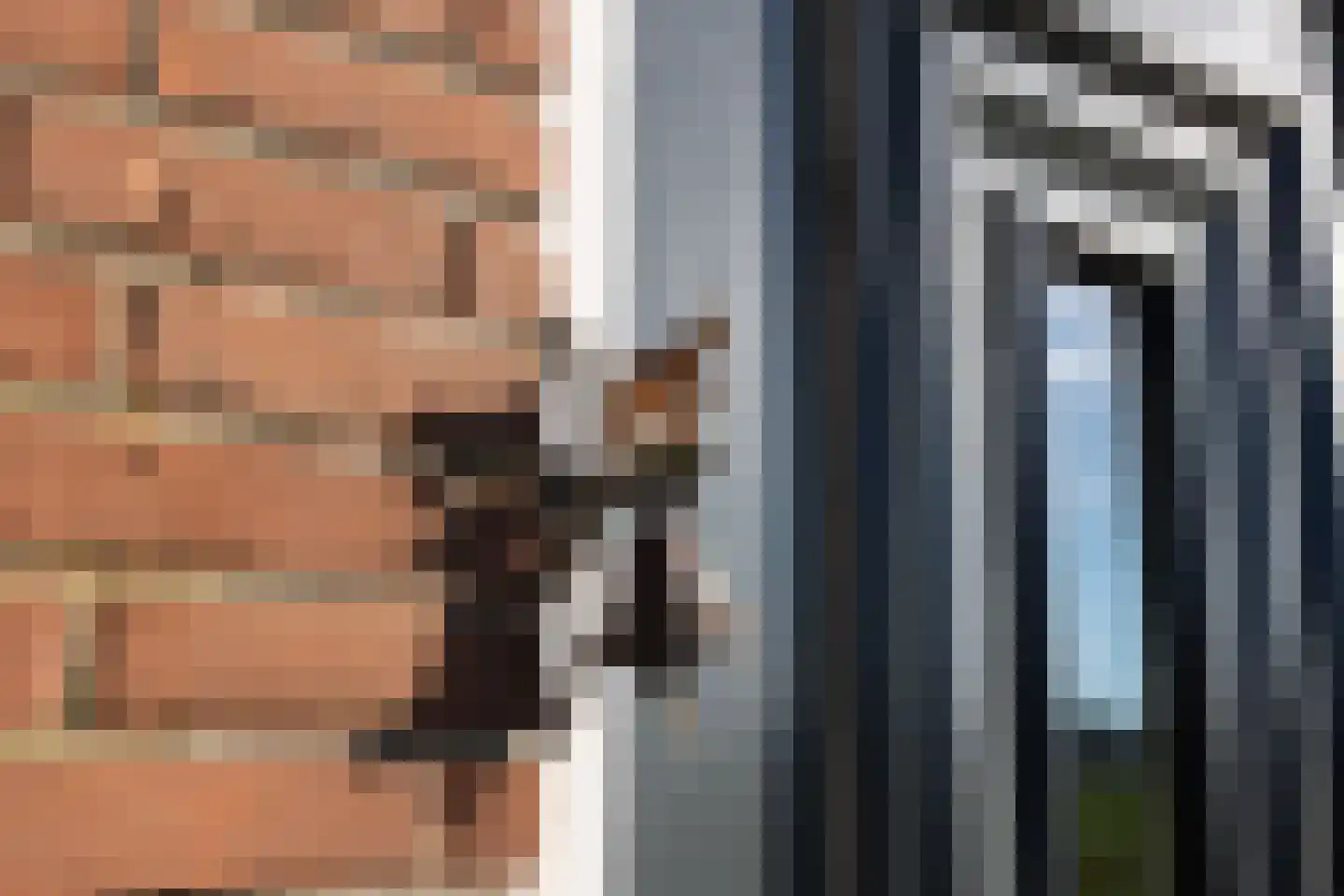 Klein Moorst 3 Woudenberg thumbnail 7