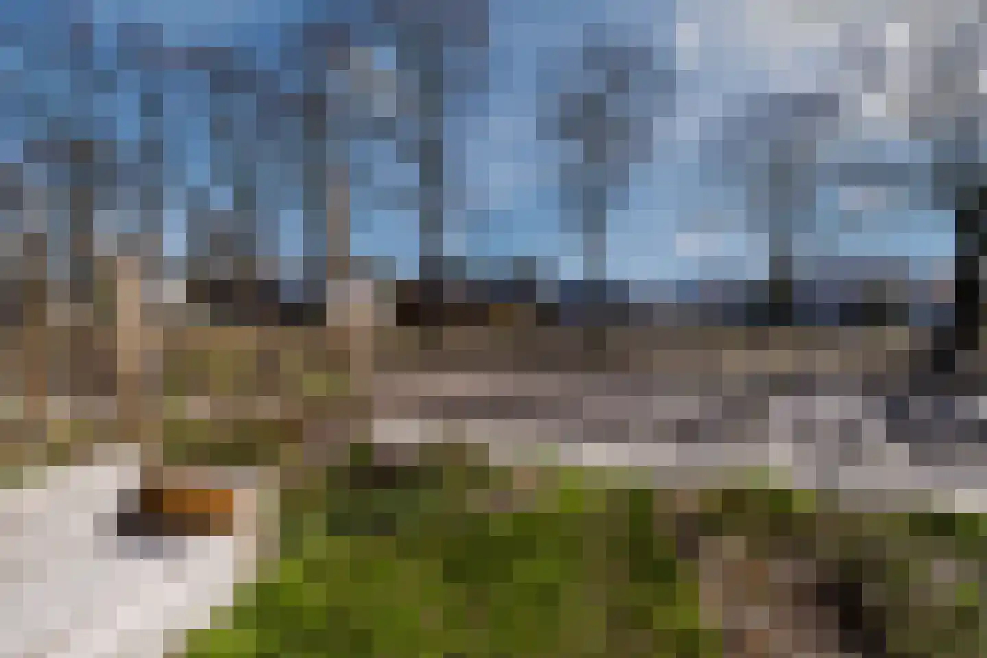Klein Oers 19 Veldhoven thumbnail 6
