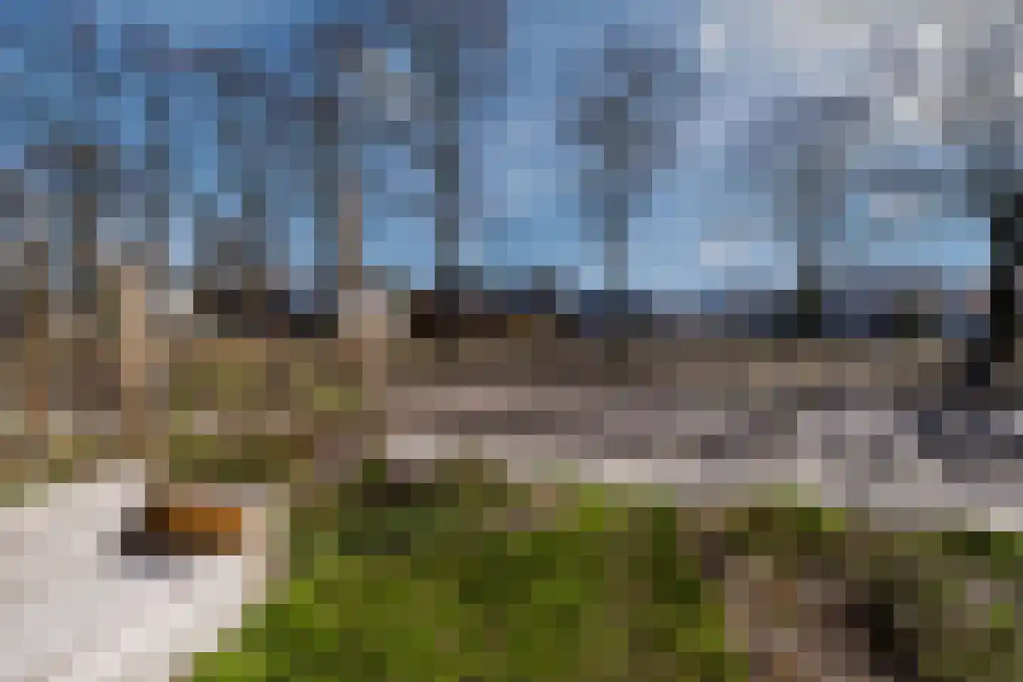 Klein Oers 19 Veldhoven thumbnail 6