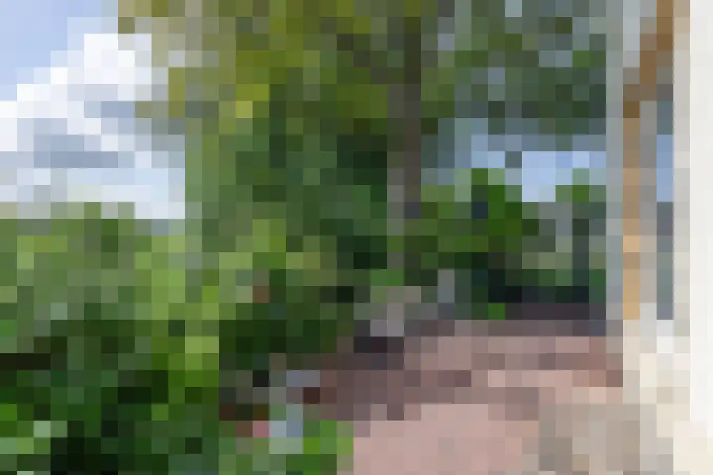 Klein Oosterwijk 9 Leerdam thumbnail 6